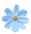 1000175797.png