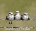 bored-hanging-around.gif