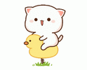 1000101517.gif