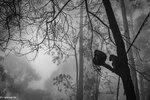 IMG_4422.jpeg