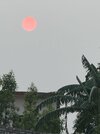 IMG_9897.jpeg