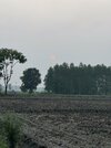 IMG_9899.jpeg