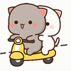 1000102000.gif