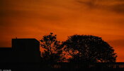 IMG_4699.jpeg