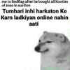 1000716997.jpg