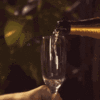 celebrate-wine.gif