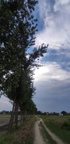 IMG_20250628_172026.jpg