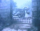 1000335271.gif 1000335271.gif