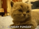 1000103778.gif