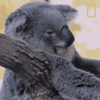 1000009885.gif