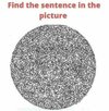 1000036494.jpg