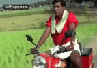 IMG_0433.gif