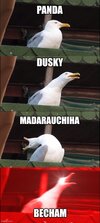1000030841.jpg