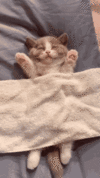 1000080295.gif
