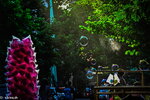 IMG_5086.jpeg