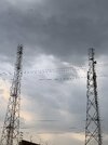 IMG_1502.jpeg
