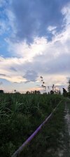 IMG_20250702_172940.jpg