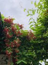 IMG_1903.jpeg