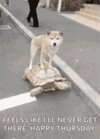 1751523349130.gif