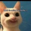 IMG_0626.jpeg