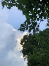 IMG_1917.jpeg