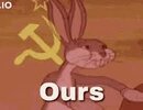 images (15).jpeg