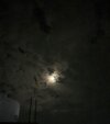 IMG_1919.jpeg