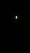 IMG_1922.jpeg