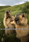 IMG_0655.jpeg