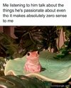 images (10).jpeg