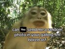 Gteb3ZrbgAAUmnH.jpeg