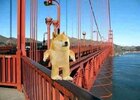 IMG_0677.jpeg