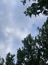 IMG_1976.jpeg