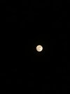 IMG_1239.jpeg