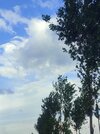 IMG_20250706_181401.jpg