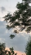 IMG_1435.jpeg