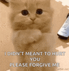 1000803021.gif