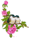 59368ef90193a209d9331f1dbd0eeed9.gif