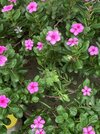 IMG_1997.jpeg