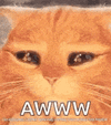 1000336054.gif