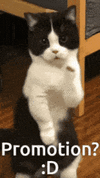 1000076864.gif