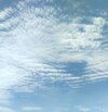 IMG_20250709_141858.jpg