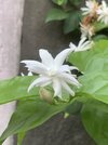 IMG_2003.jpeg