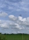 IMG_2043.jpeg