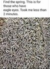 1000040133.jpg