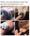 1000040104.jpg