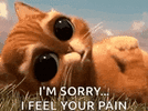 1000014418.gif