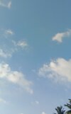 IMG_20250712_081705.jpg