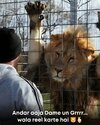 FB_IMG_1752109247910.jpg