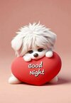 1a354fbb-a865-499b-825c-4d781be8bb21.jpeg